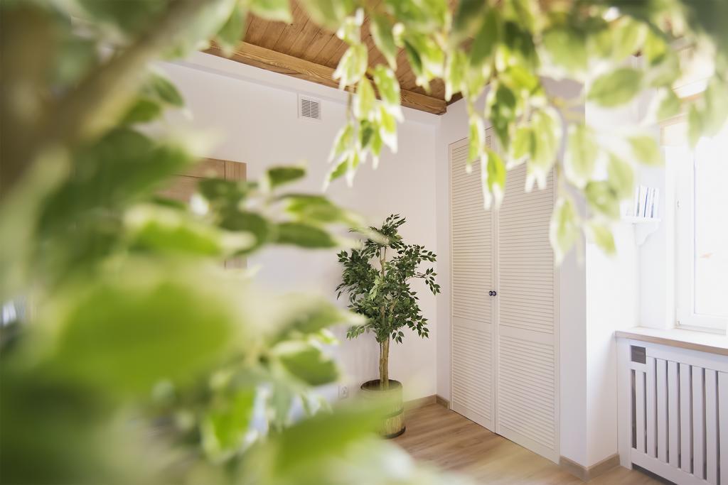 Apartment Varmia Olsztyn (Warmian-Masurian)